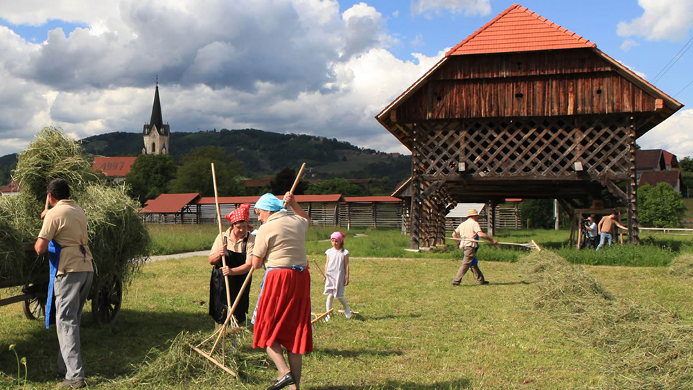 Kozolci na Slovenskem – podobe sedanjosti