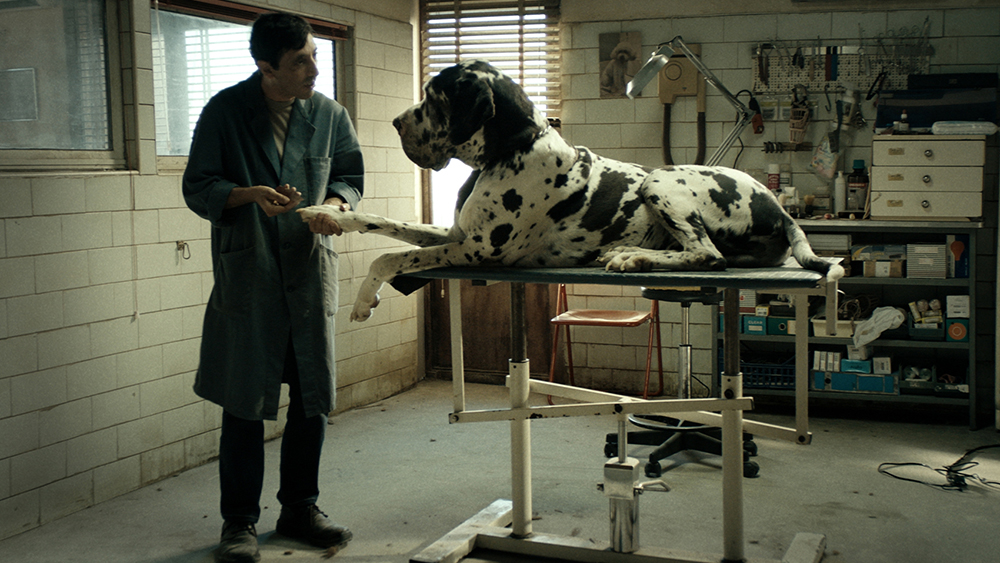 Dogman