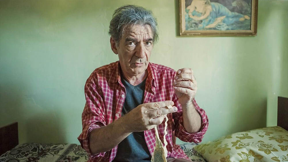 Modrček