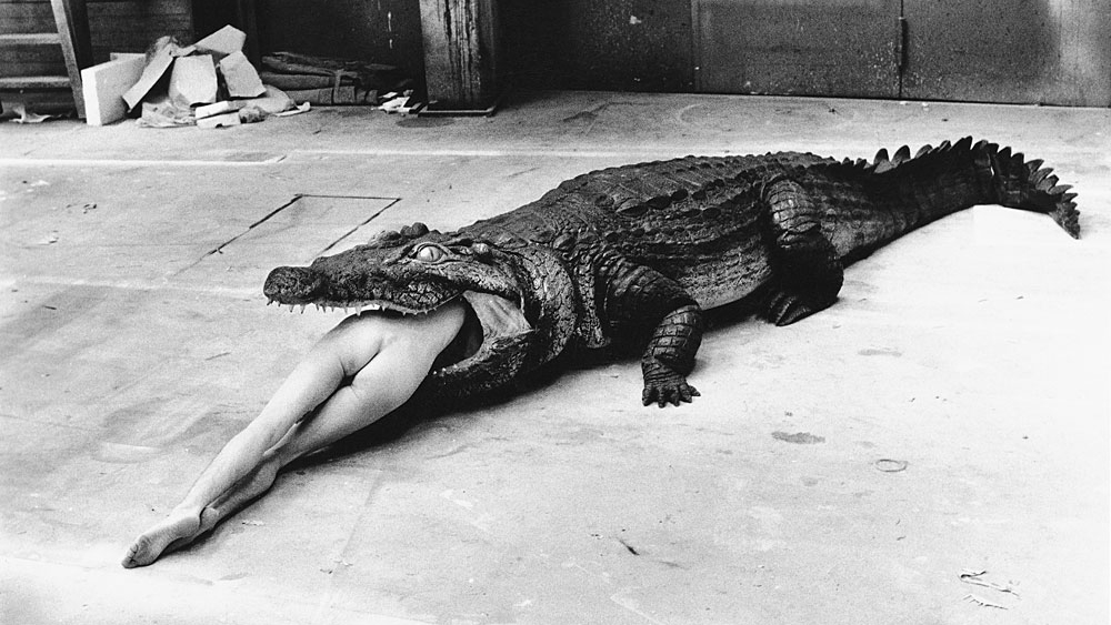 Helmut Newton: lepe in poredne