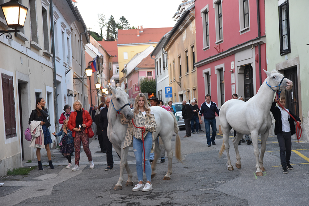 Kino in galerija: ustvarjalnost Alenke Slavinec