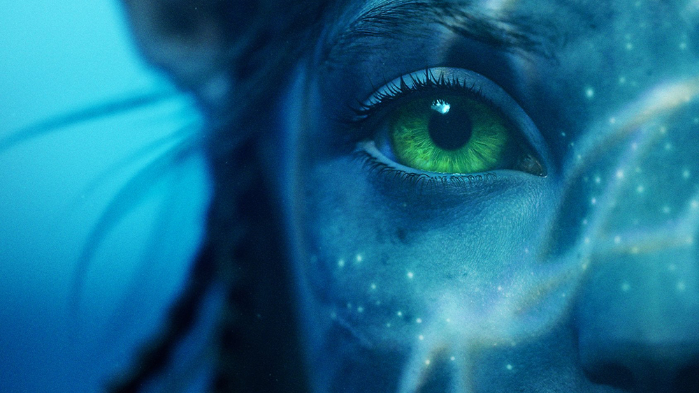 Avatar: Pot vode