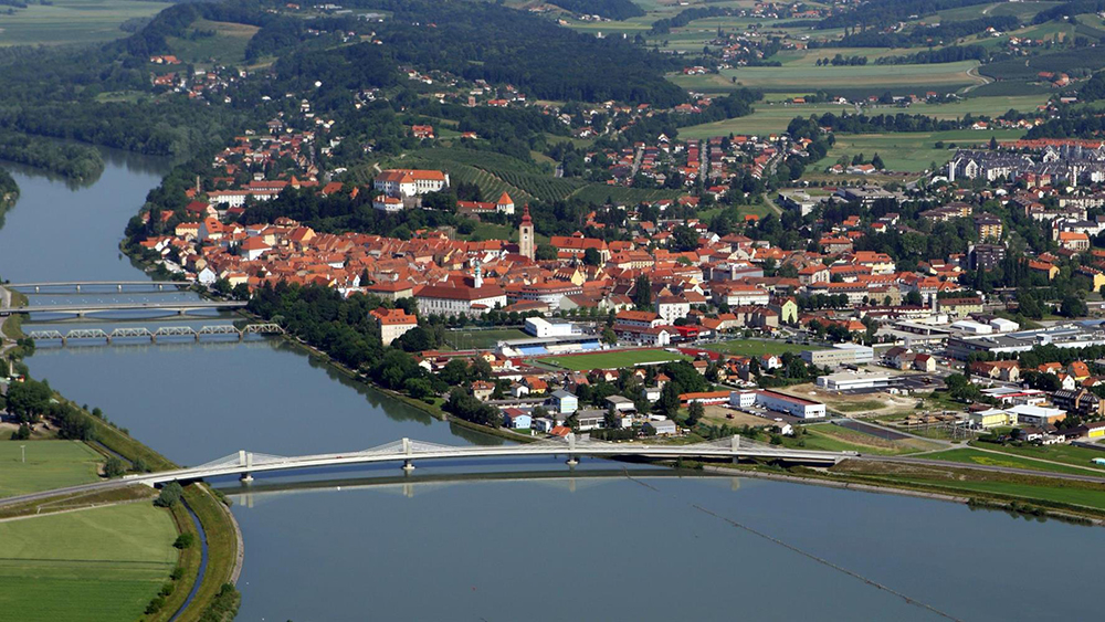 Gospodarstvo in kmetijstvo v Mestni občini Ptuj
