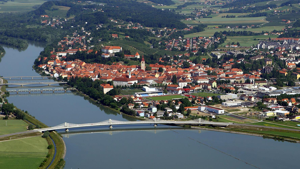 Gospodarstvo in kmetijstvo v Mestni občini Ptuj