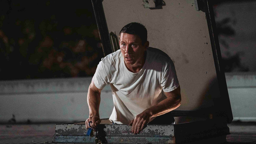 14.11.2025 19:00 (Mestni kino Ptuj)