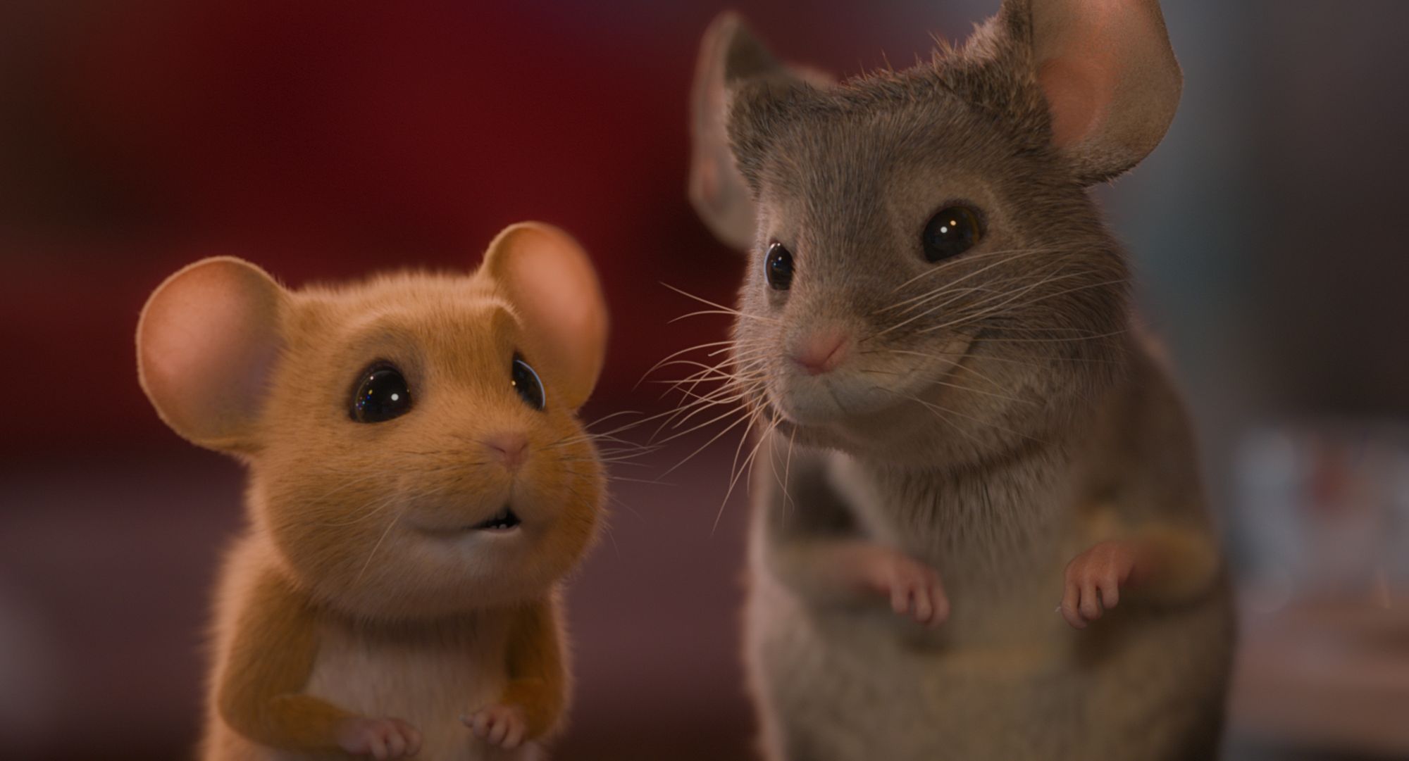 Božična mišelovka