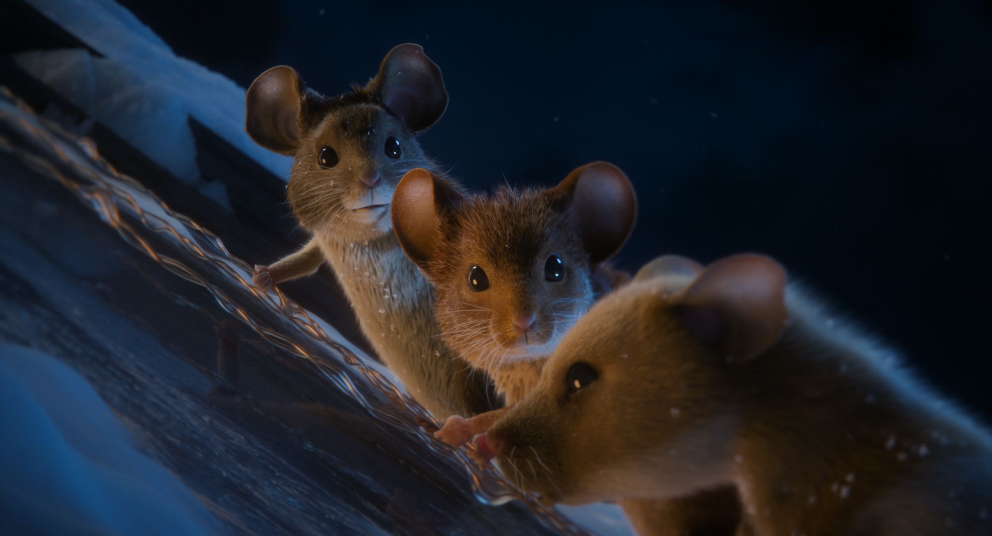 Božična mišelovka