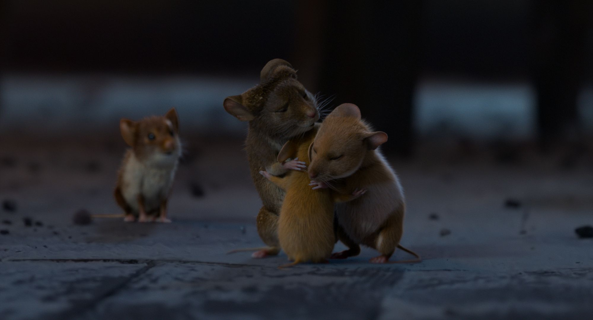 Božična mišelovka