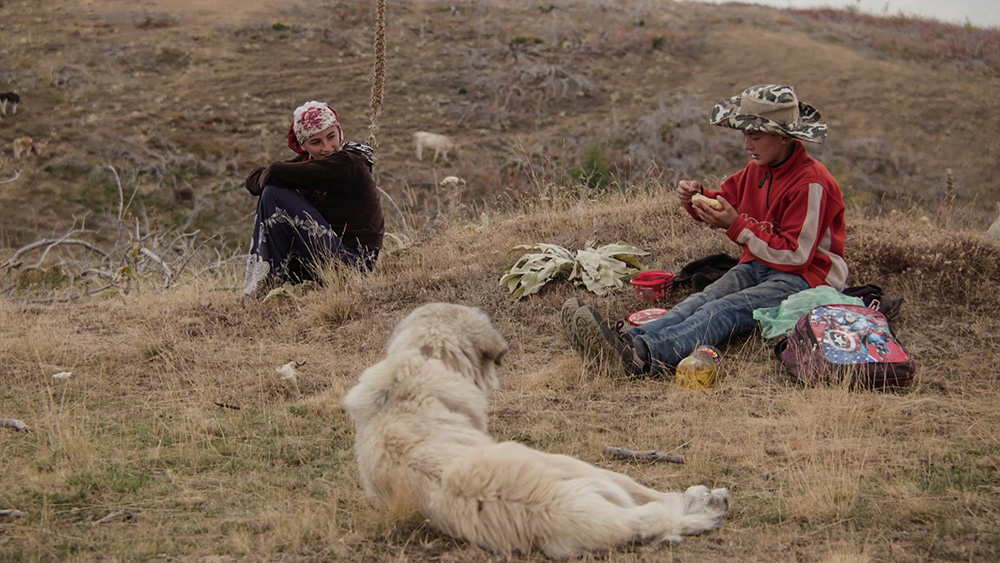 Gora se ne bo premaknila