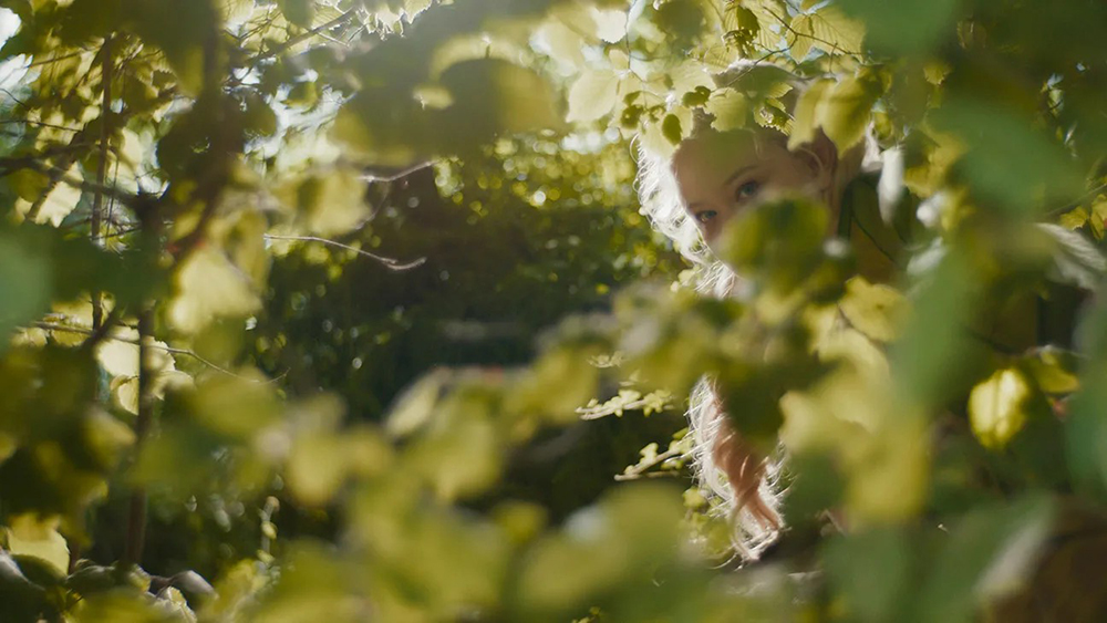 17.04.2026 17:00 (Mestni kino Ptuj)