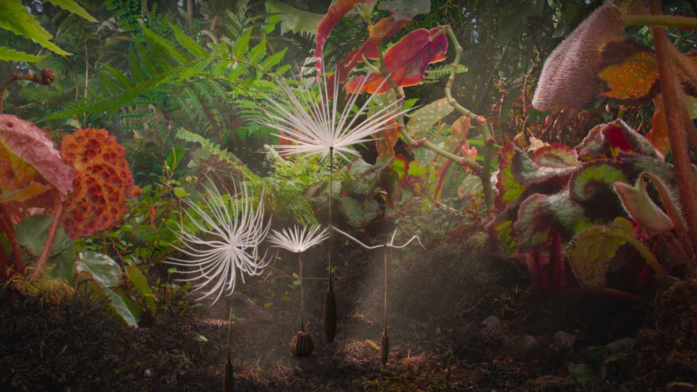 03.05.2026 18:00 (Mala dvorana)